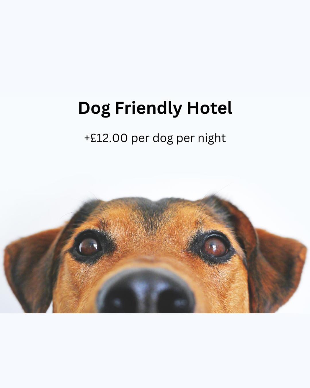 Ashton Court Hotel Exmouth Bagian luar foto